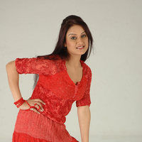 Sonia Agarwal New Pictures | Picture 46990